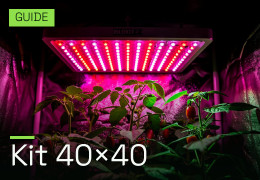 Kit de culture indoor 40×40 clé en main : le guide pour bien démarrer