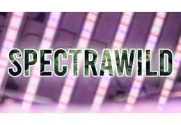 Entdeckung der zukünftigen SpectraWILD LED-Gartenbeleuchtung